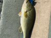 Rick-Chippewa Lake 8/4/22